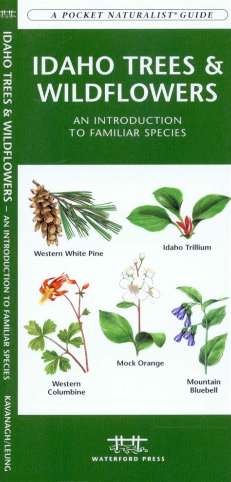 Idaho Trees And Wildflowers An Introduction To Familiar Species Nhbs