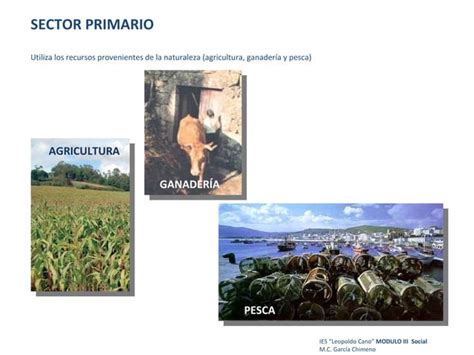 Sector Primario Agricultura De Subsistencia PPT Descarga Gratuita