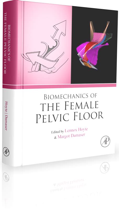 Biomechanics Of The Female Pelvic Floor