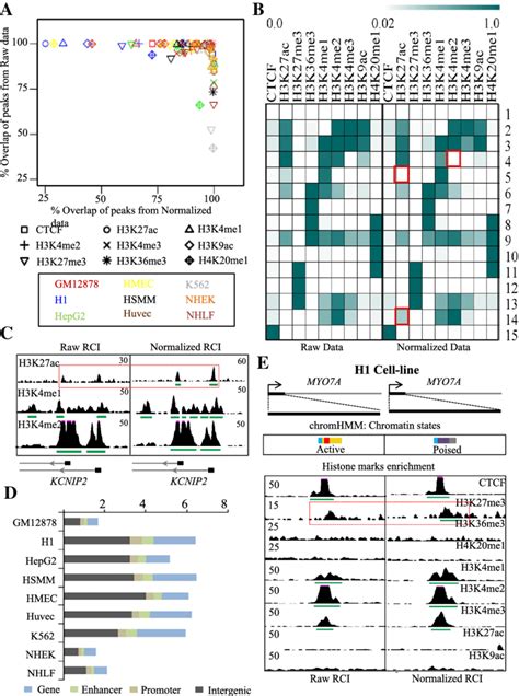 Chromatin State Analysis Using Chromhmm A Illustration Of Peak