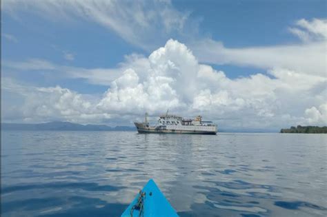 KM Sabuk Nusantara 62 Kandas Di Perairan Raja Ampat Terumbu Karang Hancur