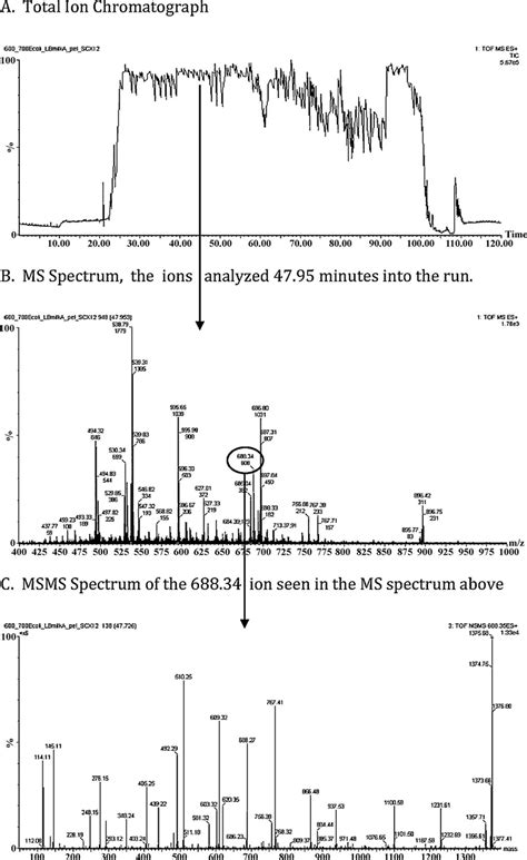 Mass Spectra This Data Represents Ms And Msms Data From A Qtof Mass