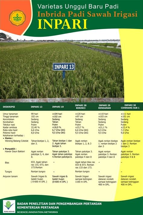 Kementan Dorong Pemulia Tanaman Sediakan Varietas Unggul Baru Pilar