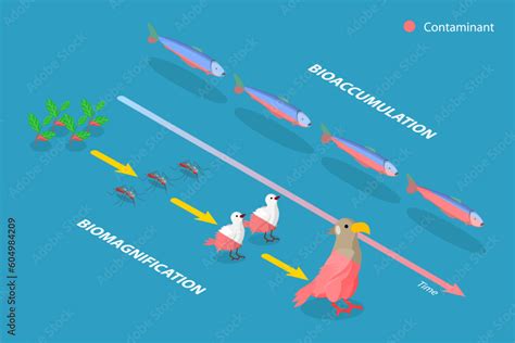 3d Isometric Flat Vector Conceptual Illustration Of Difference Between