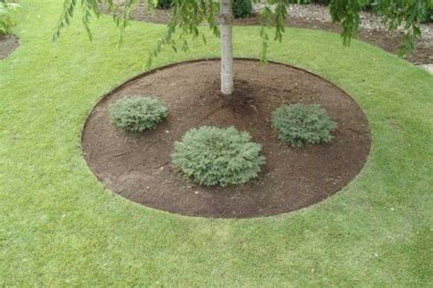 15+ Beautiful Ideas For Decorating The Landscape Around The Trees