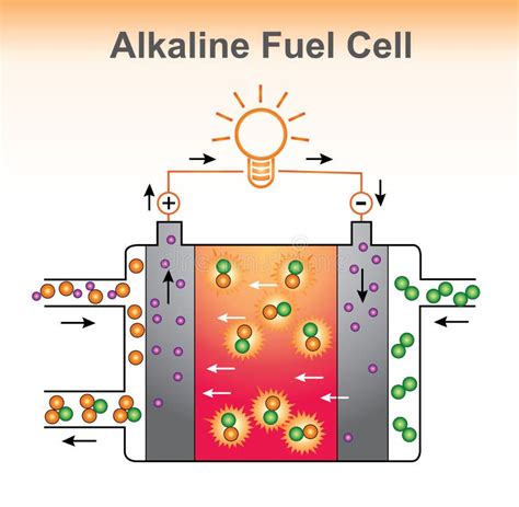 The Alkaline Fuel Cell Structure. Stock Vector - Illustration of flow ...