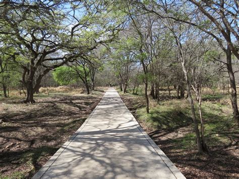 Birding Across Texas: McAllister Park