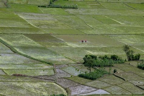 Premium Photo Agriculture Land And Farmers Of Nepal