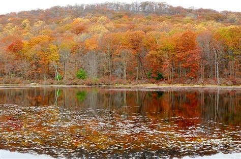 Ending Of Autumn Stanley Zimny Thank You For Million Views Flickr