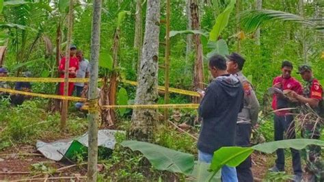 Kakek Di Tulungagung Tewas Seusai Jatuh Dari Pohon Kelapa Meter