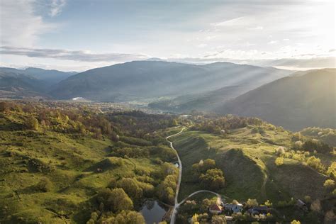 Bears, wolves and rewilding in Romania's Southern Carpathian mountains