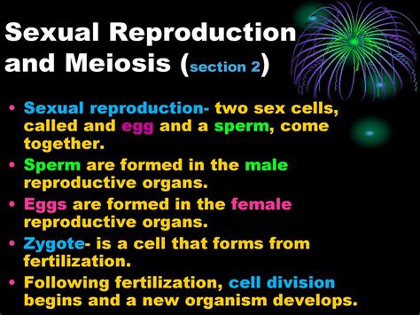 Mitosis Under What Circumstances Do Cells Undergo Mitosis Ppt Download