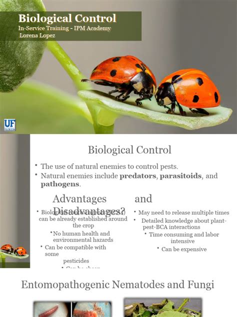 Bio Control Ll Download Free Pdf Biological Pest Control Pest Organism