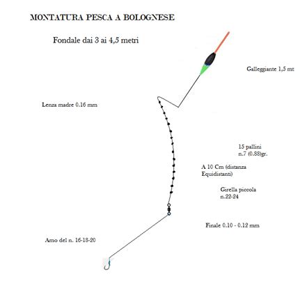 Come Fare La Montatura Classica Per La Pesca Alla Bolognese Suggerita