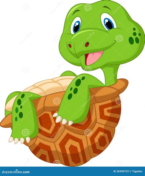 Tortoise In Cartoon Style. Cute Little Cartoon Tortoise Isolated On ...