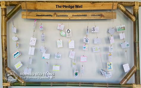 The Pledge Wall One Small Step Towards Sustainability Borneo Eco Tours