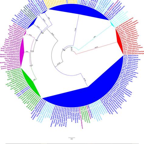 A Circular Representation Of The Distances Between Full Length