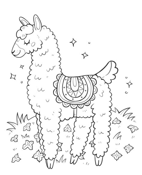 libro para colorear antiestrés con linda llama ilustración de contorno