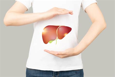 A Guide to Liver Recovery From Alcohol | Zinnia Health