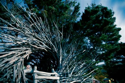 moonlit human nest harriet goodall