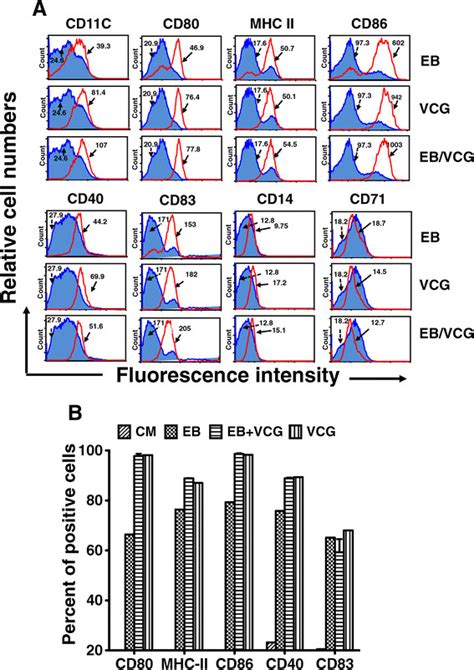 Effect Of Vcg On Activation Marker Expression By Bmdcs Using Facs