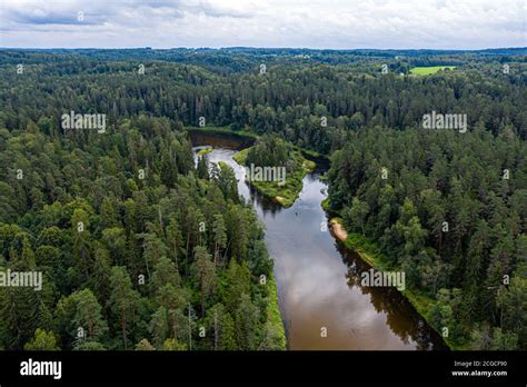 Aerial Perspective Of Forests Hi Res Stock Photography And Images Alamy