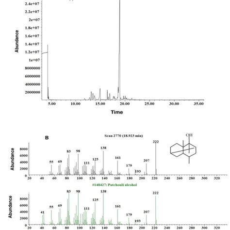 Chromatogram A And Mass Spectrum B Of By Gc Ms Download Scientific Diagram