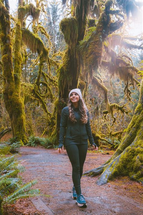 Best Time To Visit Olympic National Park 2024 Guide The Wandering Queen