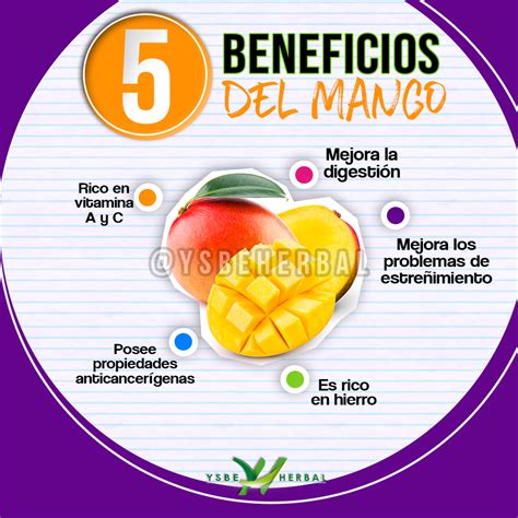 Beneficios Del Mango