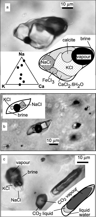 Photomicrographs Of Fluid Inclusions From Glassy Quartz In An Outcrop