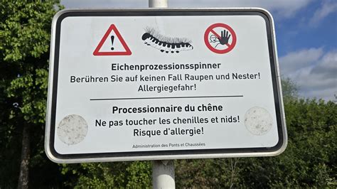 Rtl Warnungen Uechtert D Land Eichenprozessionsspinner Ass Nees Aktiv