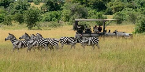 3 Days Game Drives In Akagera National Park