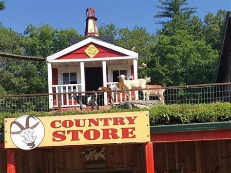 Goats On The Roof