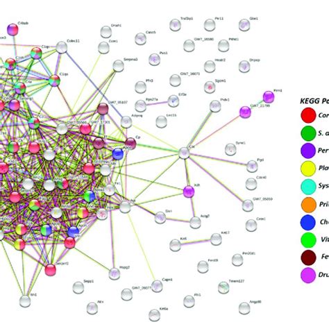 Protein Protein Interaction Networks Of Deiminated Proteins Identified