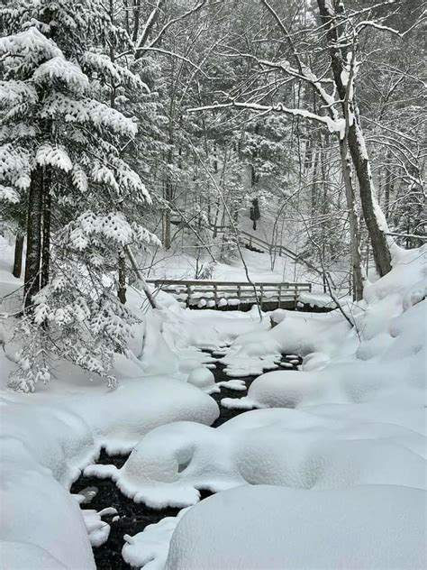 Pin By Cathy Horton On Winter Winter Pictures Winter Scenery Winter