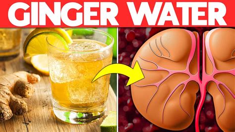 10 Benefits Of Drinking Ginger Water Daily Youtube