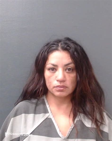 Perez Christina Comal County Mugshots Zone