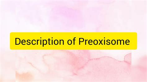 16 Description Of Peroxisome Physiology YouTube