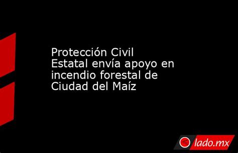 Protección Civil Estatal Envía Apoyo En Incendio Forestal De Ciudad Del