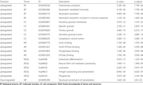 List Of Top Enriched Go Terms And Kegg Pathways Of Degs Download Table