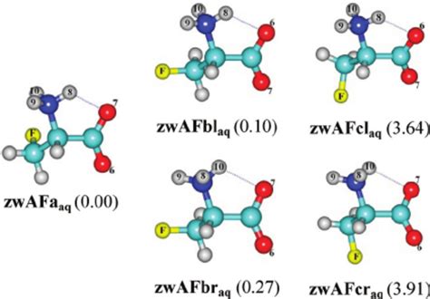 Two Low Energy Conformers Of Protonated Alanine With Relative Energies