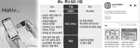 뷰노·루닛 의료 Ai기업 B2c 확대신성장 동력 확보 총력 전자신문