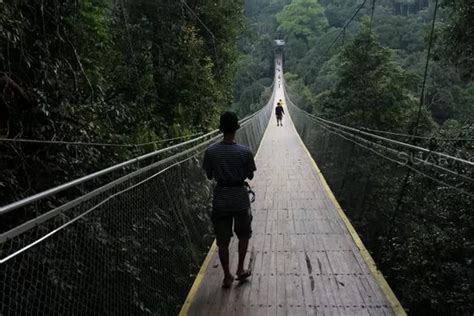 Tips Melancong Ke Objek Wisata Situ Gunung Sukabumi Ayo Bandung