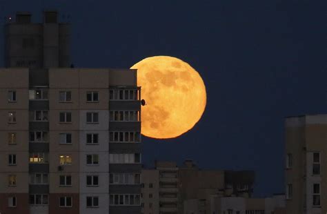 Суперлуние в 2021 году 24 июня: как полная Луна повлияет на жизнь ...