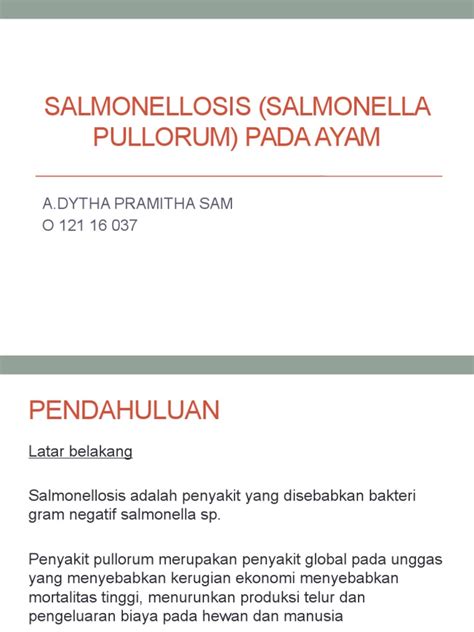 SALMONELLOSIS (Salmonella Pullorum) Pada Ayam | PDF