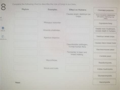 Solved Complete the following chart to describe the role of | Chegg.com 