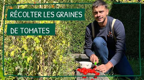 R Colter Ses Propres Graines De Tomates Youtube