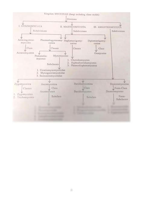 SOLUTION Classification Of Fungi C J Alexopoulos And C W Mims 1979