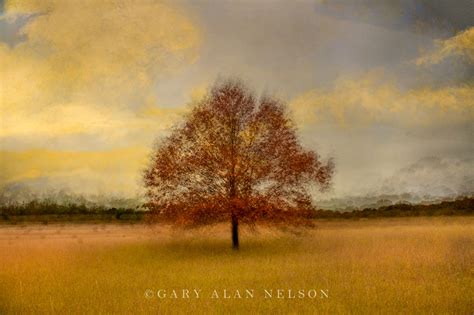 Gary Alan Nelson Photography