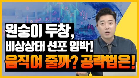 원숭이두창관련주 주가 전망 미코바이오메드 주가 전망 파미셀 주가 전망 Hk이노엔 주가 전망 녹십자엠에스 주가 전망